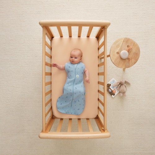 Otulacz niemowlęcy i śpiworek 2w1 Dragonflies 0-3M 1.0 TOG ergopouch 004