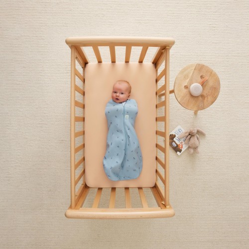 Otulacz niemowlęcy i śpiworek 2w1 Dragonflies 0-3M 0.2TOG ergopouch